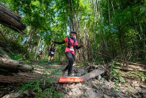 BIB: 
                            <button type="button" onclick="openModal(19390838)" class="btn btn-primary btn-sm float-right btn-popup" data-toggle="modal" data-target=".modal-high-quality">
                        <i class="fas fa-shopping-cart"></i> Add to Cart
                    </button>
                                            <button type="button" onclick="isThisMe(19390838, true)" class="btn btn-success btn-sm float-right btn-popup btn-isme hidden" data-toggle="tooltip" data-placement="bottom" title="นี่คือรูปของคุณใช่ไหม คลิกที่นี่เพื่อเอาเข้าอัลบั้ม">
                        <i class="fas fa-plus"></i> Add to album
                    </button>
                    <button type="button" onclick="isThisMe(19390838, false)" class="btn btn-warning btn-sm float-right btn-popup btn-isnotme hidden">
                        <i class="fas fa-ban"></i> Remove from album
                    </button>